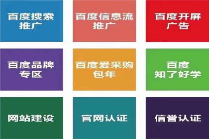 某企业SEM广告投放的转化率提升秘诀